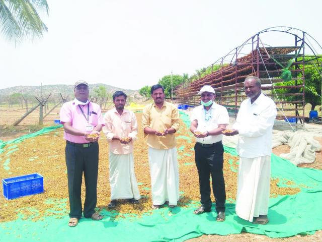 ಲಾಕ್ಡೌನ್: ಬೆಳೆ ಹಾಳಾಗದಂತೆ ಮೌಲ್ಯವರ್ಧನೆ ಮಾಡಿ ಉತ್ತಮ ಆದಾಯದ ನಿರೀಕ್ಷೆಯಲ್ಲಿ ಕೃಷಿಕ